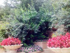 -天鹅湖生态旅游风景区