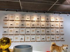 -柴务处·柴犬主题狗咖