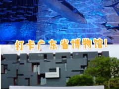 -广东省博物馆