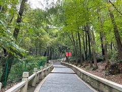 -灵岩山风景区