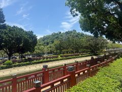 -顺峰山公园