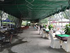 -白鹭湾湿地公园