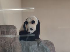 -宁波野生动物园