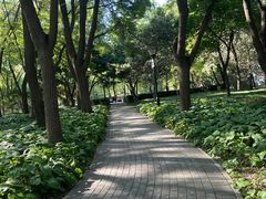 -玲珑塔公园