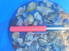 -东疆理想海岸沙滩景区