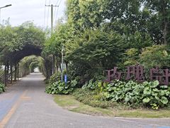 -上海长兴岛郊野公园