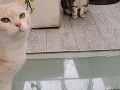 -小时光咖啡馆(北锣鼓巷店)