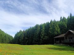 -武陵山森林公园
