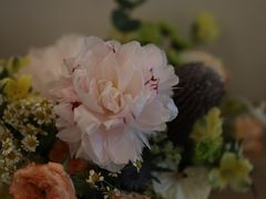 -花到家(富贵鸟花艺行)