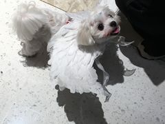 -吉庆莲年有鱼炭烤鱼(苏宁广场店)