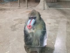 -新疆天山野生动物园