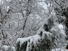 -九峰山