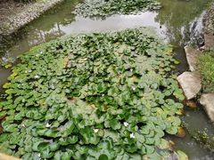 -宁波九龙湖开元度假村