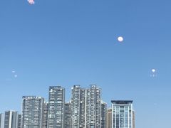 -珍之宝御品·寻味顺德(容桂渔人码头店)