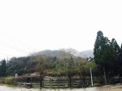 -玉苍山国家森林公园