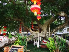 -厦门悦华酒店