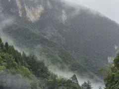 -鹿院坪生态旅游景区