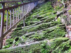 -云南屏边大围山国家公园