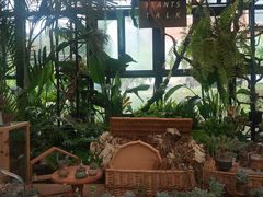 -北马山庄植趣咖啡