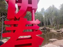 -汤旺河林海奇石景区