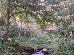 -中国茶叶博物馆(双峰馆区)