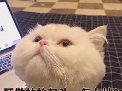 -曹祥泰(解放路店)
