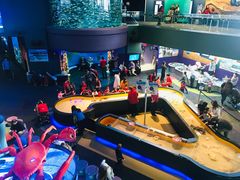 -瑞普利水族馆