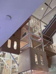 -超级奈尔宝SUPER NEOBIO(杭州星光店)