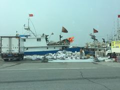 -小洋口旅游度假区