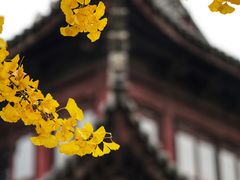 -圆通寺