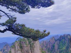 -黄山风景区