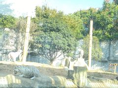 -常州淹城野生动物世界