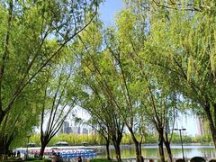 -莲花池公园