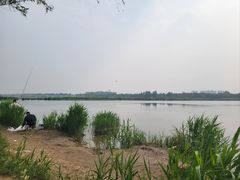 -绿堤公园