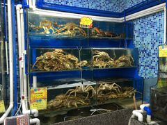 水产区-蚝专家(北滘店)