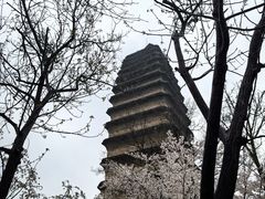 -西安博物院