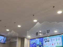 -雾与山茶(大禹城店)