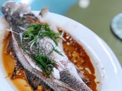 清蒸海鱼-景好海鲜餐厅(大鹏必选旅游店)