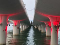 -演武大桥观景平台