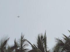 -深圳湾公园(南山区)
