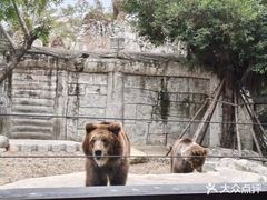 -灵玲国际马戏城