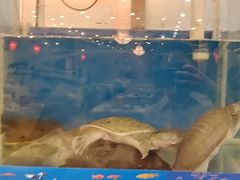 -老浒记民俗酒楼(王府井店)