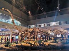 -自贡恐龙博物馆