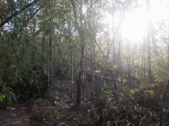 -紫金山天文台