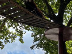-上海野生动物园