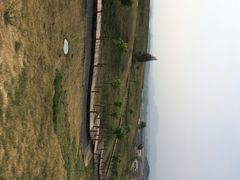 密云玫瑰情园-密云玫瑰情园