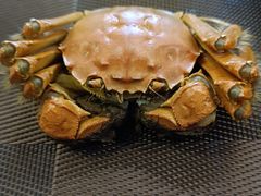 -上海虹桥宾馆味翠餐厅