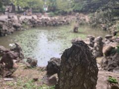 -伯先公园