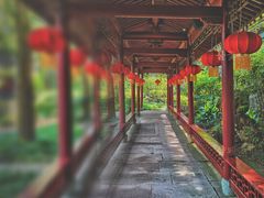 -天一阁博物院