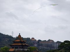 -顺峰山公园